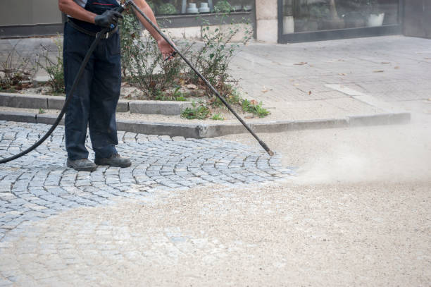 Animal Enclosure Cleaning in Erath, LA